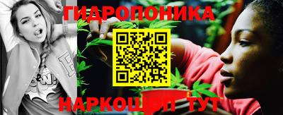 соль ск Бийск